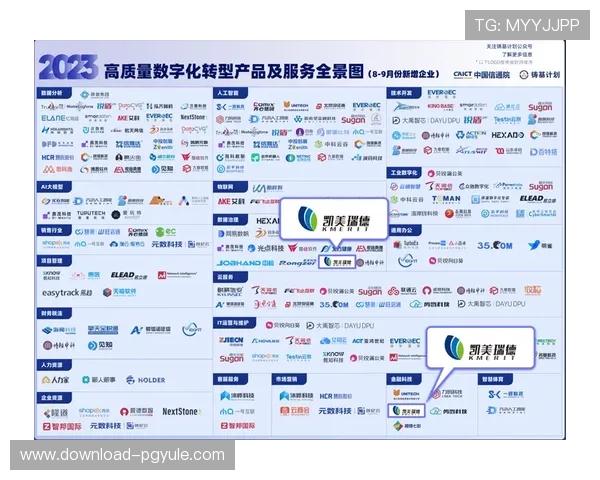 深入剖析PA电子注册的重要性，助力企业数字化转型的必经之路