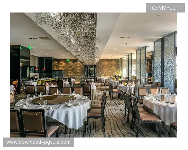 广东AG贵宾厅豪华装修设计,彰显尊贵奢华的高端品质 广东AG贵宾厅豪华装修设计,彰显尊贵奢华的高端品质